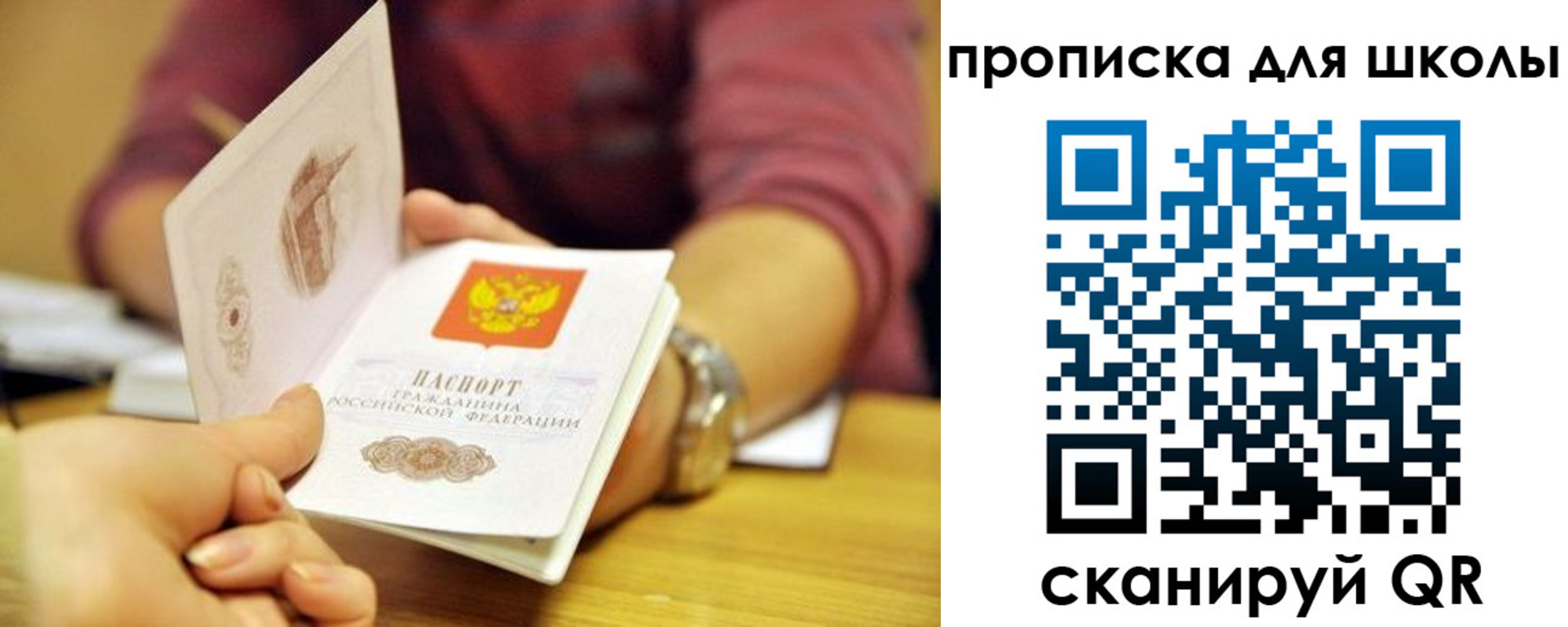 прописка гарантия в Апатитах